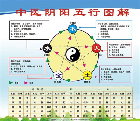 中醫五行表